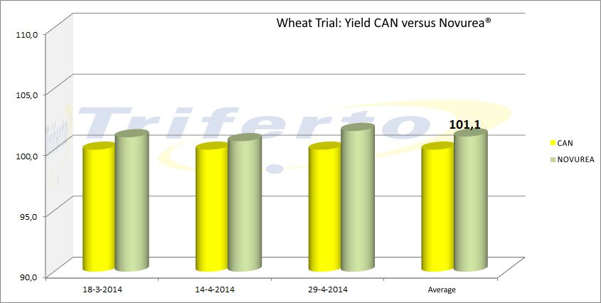 Wheat Trial Novurea versus CAN