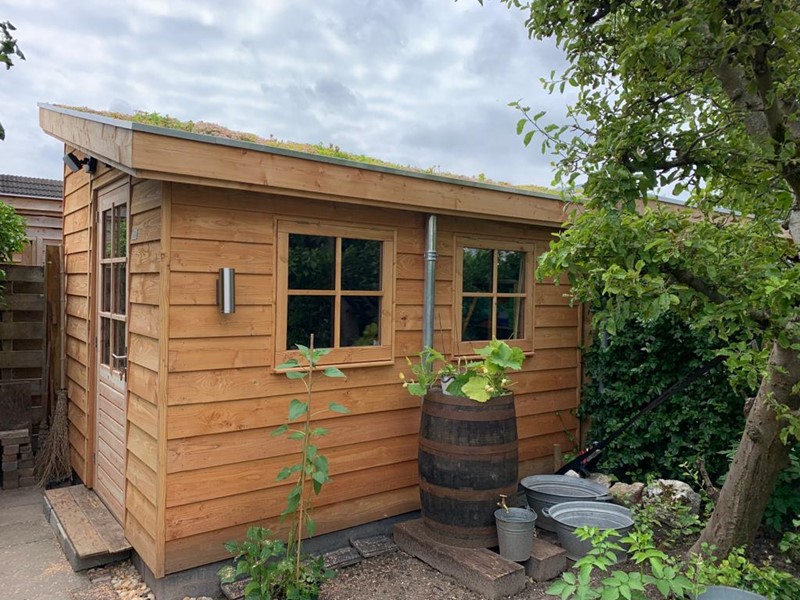 Berging lessenaarsdak Sedum