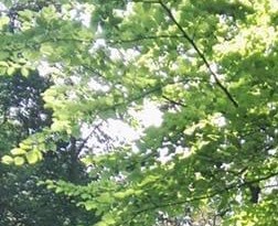 tuinkantoor-limburg afbeelding tuinkantoor-limburg afbeelding