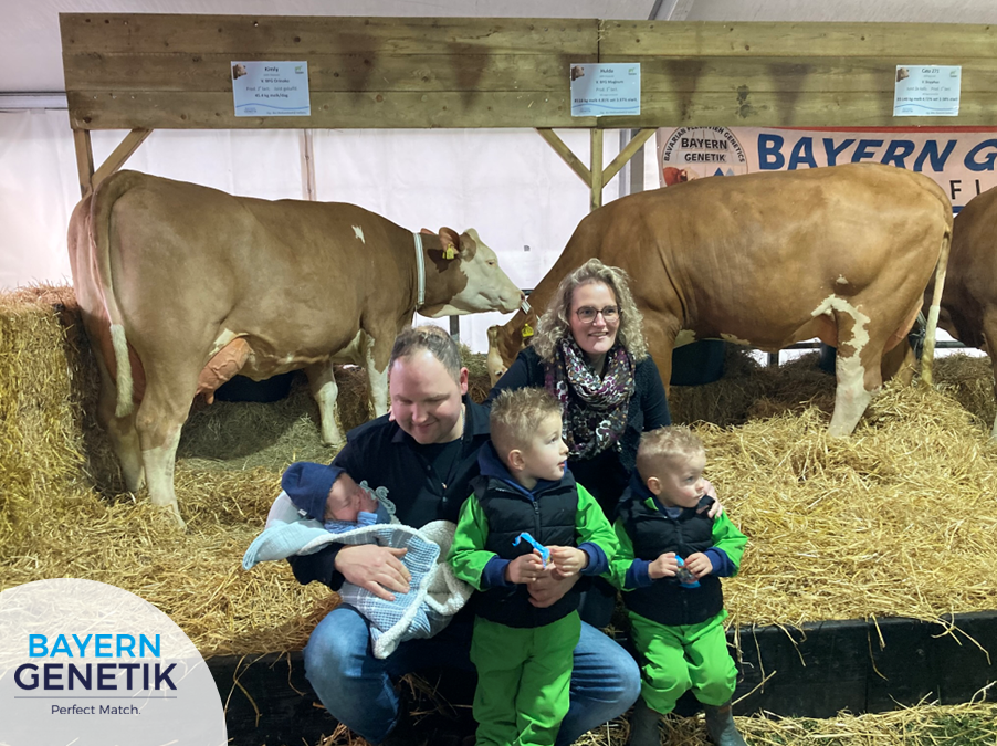 Fleckvieh is de koe, compost voedt de bodem