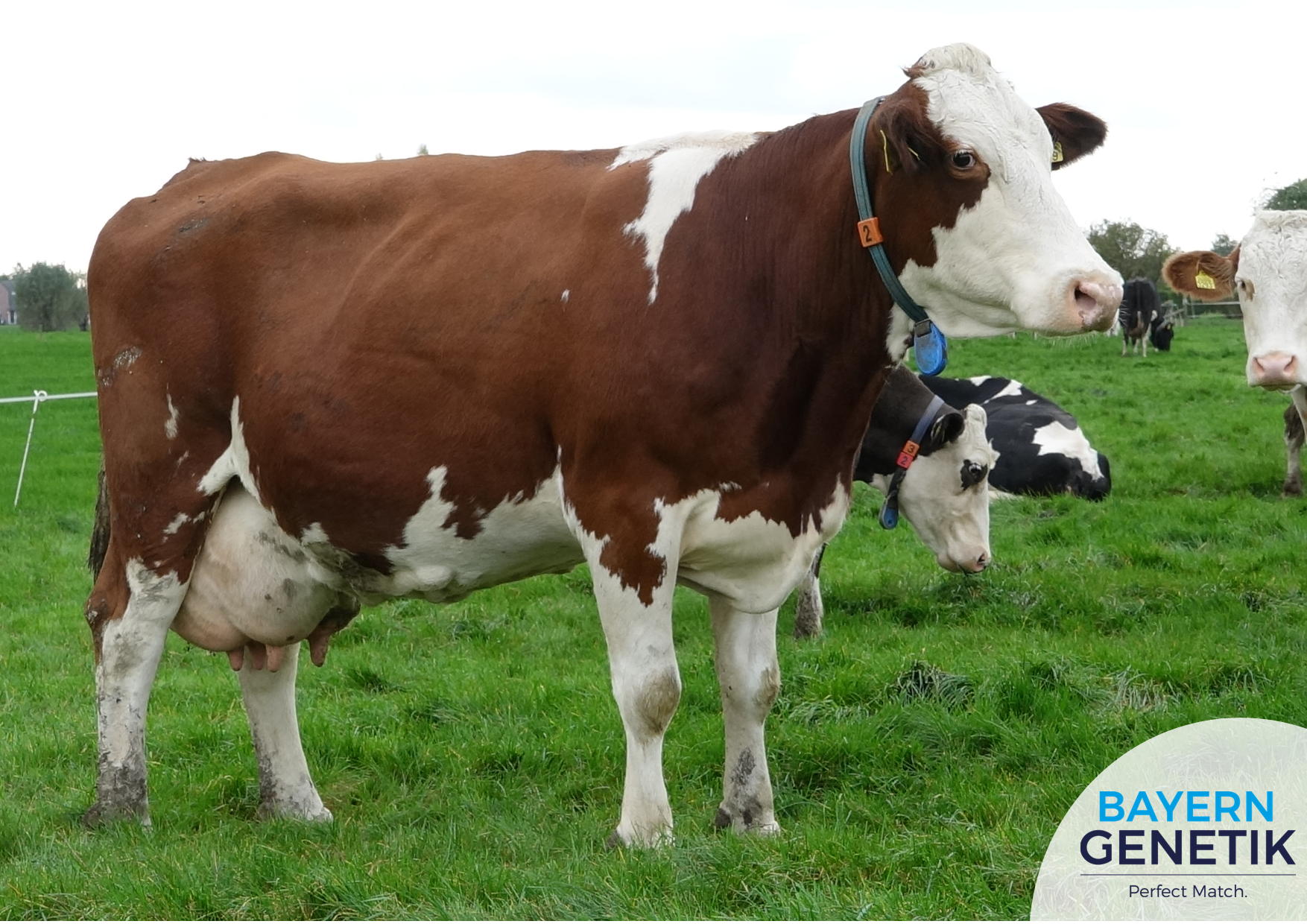 "Wij doen het anders dan de meesten"