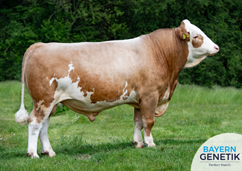 Wie de jeugd heeft, heeft de toekomst... 