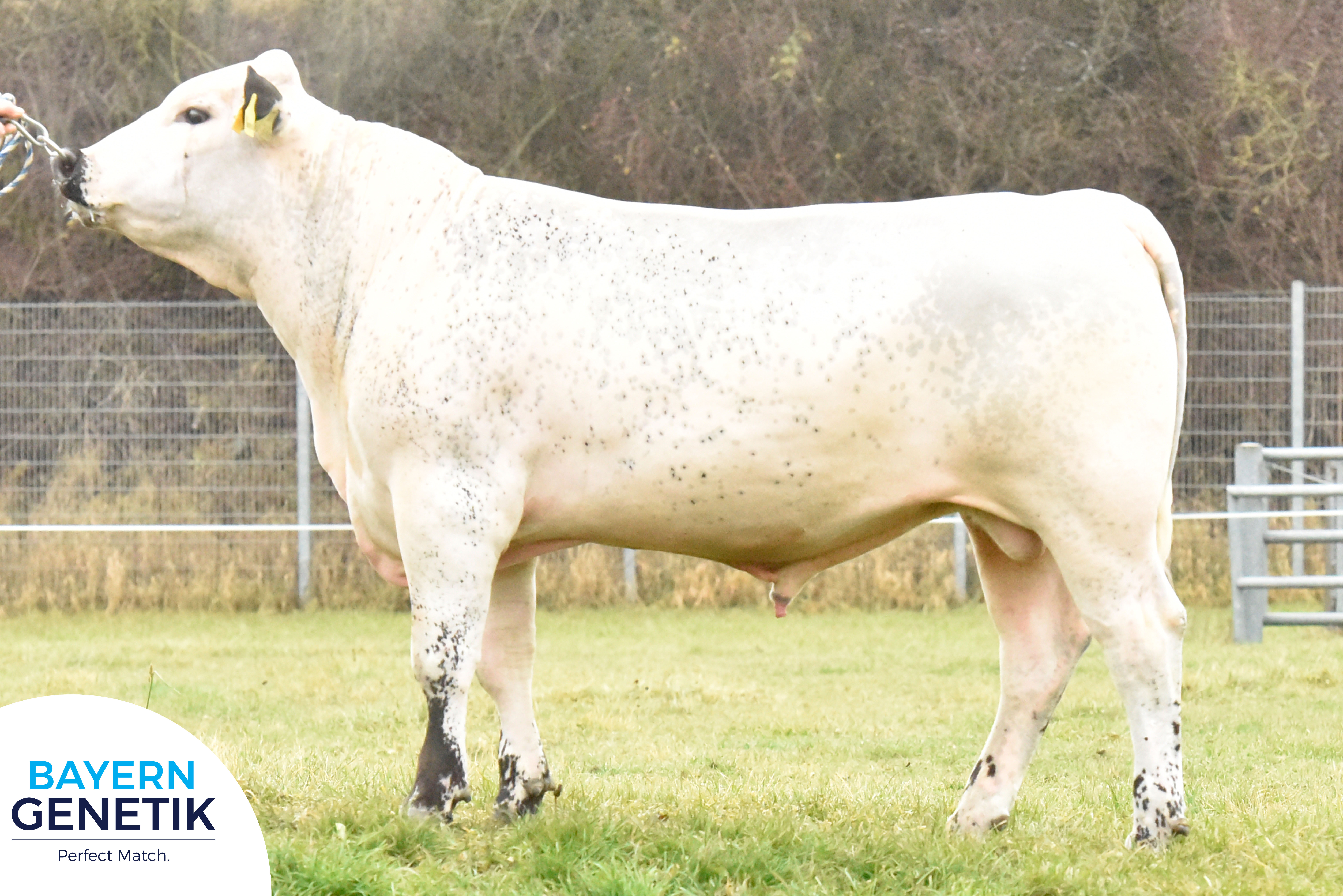 Eerste porties beschikbaar BFG Harpeck PP / Specklepark