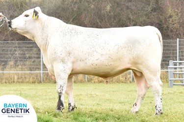 Eerste porties beschikbaar BFG Harpeck PP / Specklepark