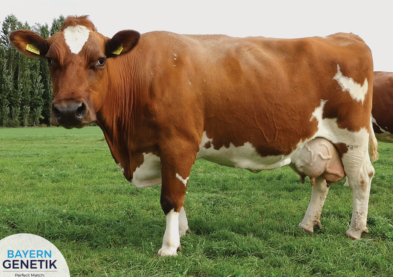 Een tevreden boer op een droog stukje achterhoek