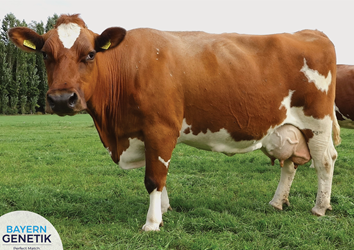 Een tevreden boer op een droog stukje achterhoek