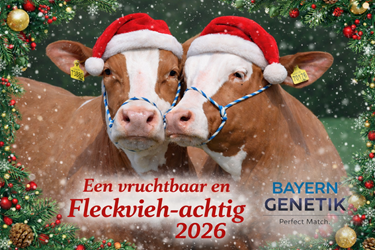 Prettige Kerstdagen en een Voorspoedig Nieuwjaar