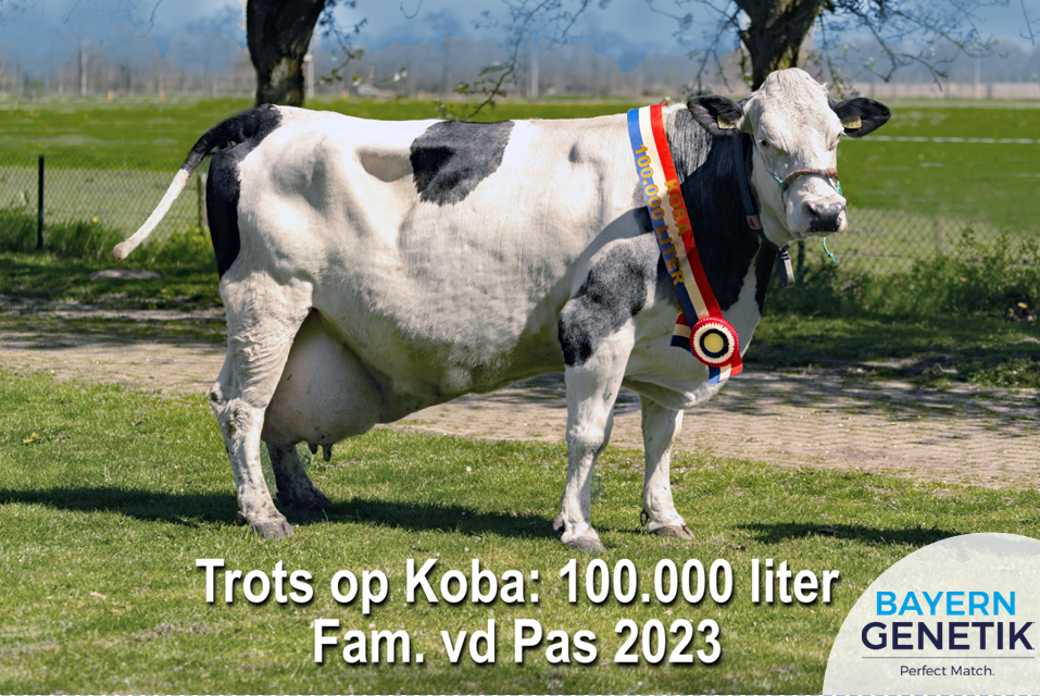 Trots op Koba