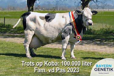 Trots op Koba