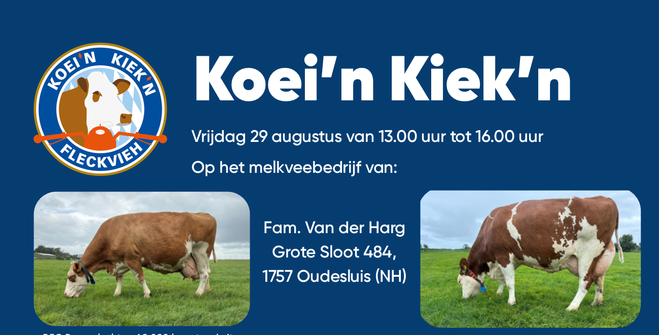 29 augustus Koei'n Kiek'n bij Fam. van der Harg in Noord Holland