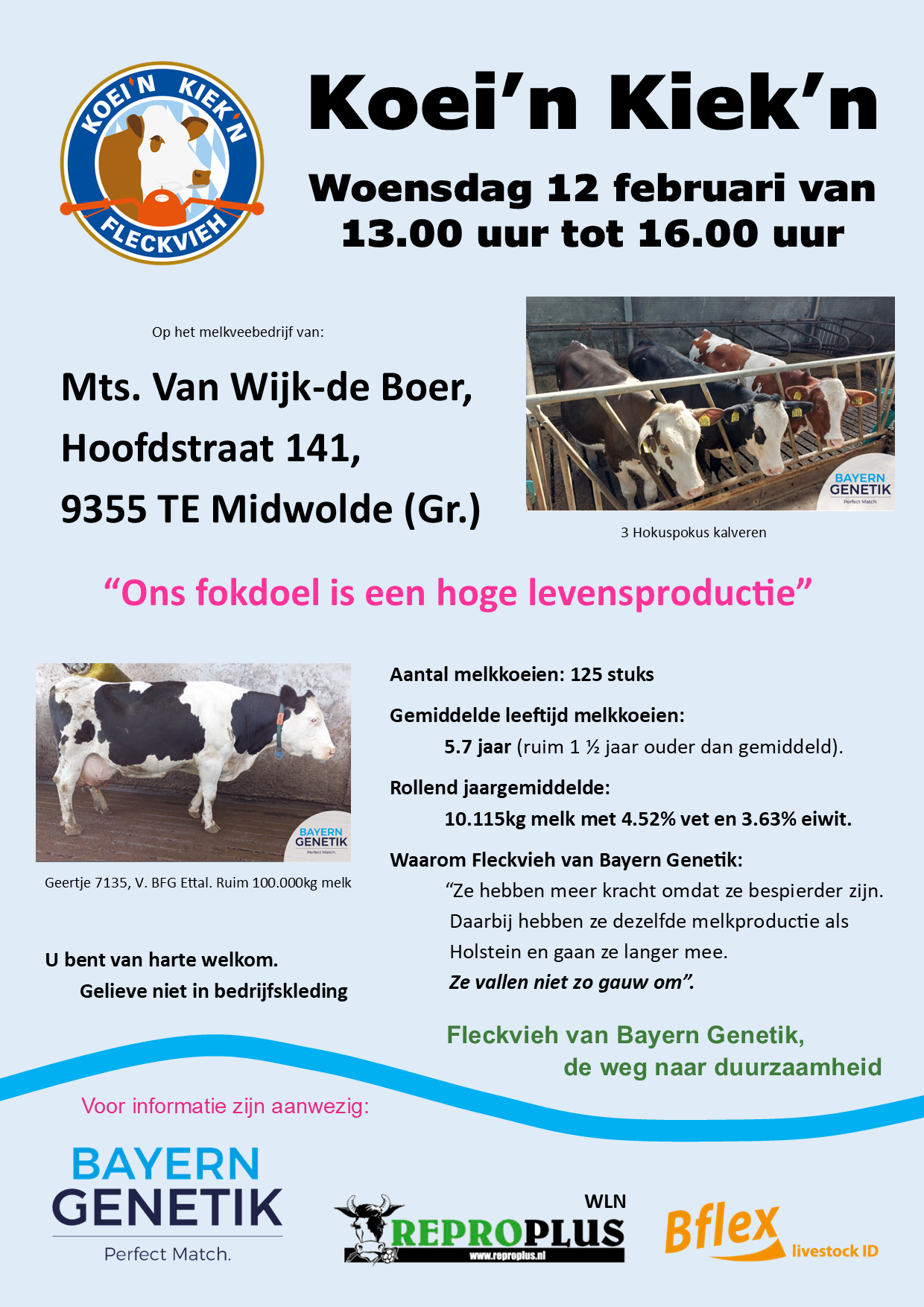 12 Februari Koei’n Kiek’n bij Mts. Van Wijk-de Boer in Midwolde (Gr.)