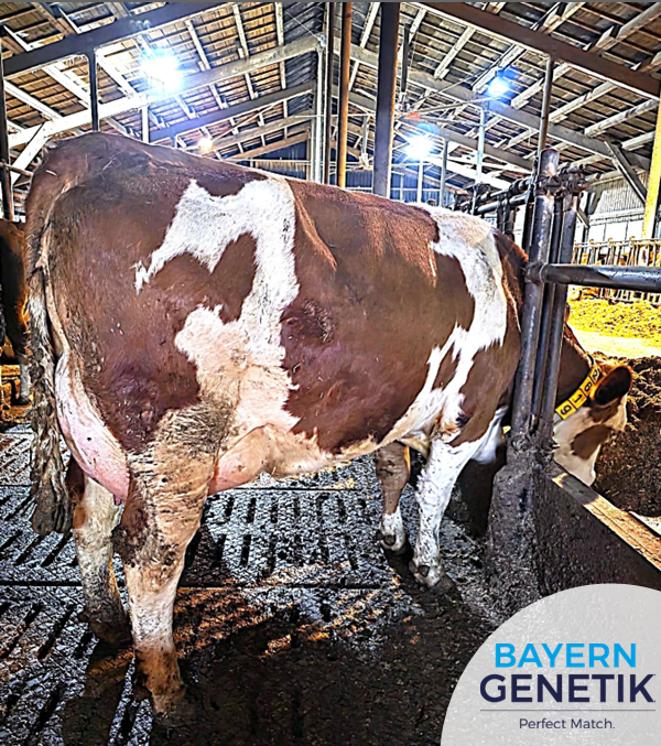 Sterk. Effieciënt. Melkpower