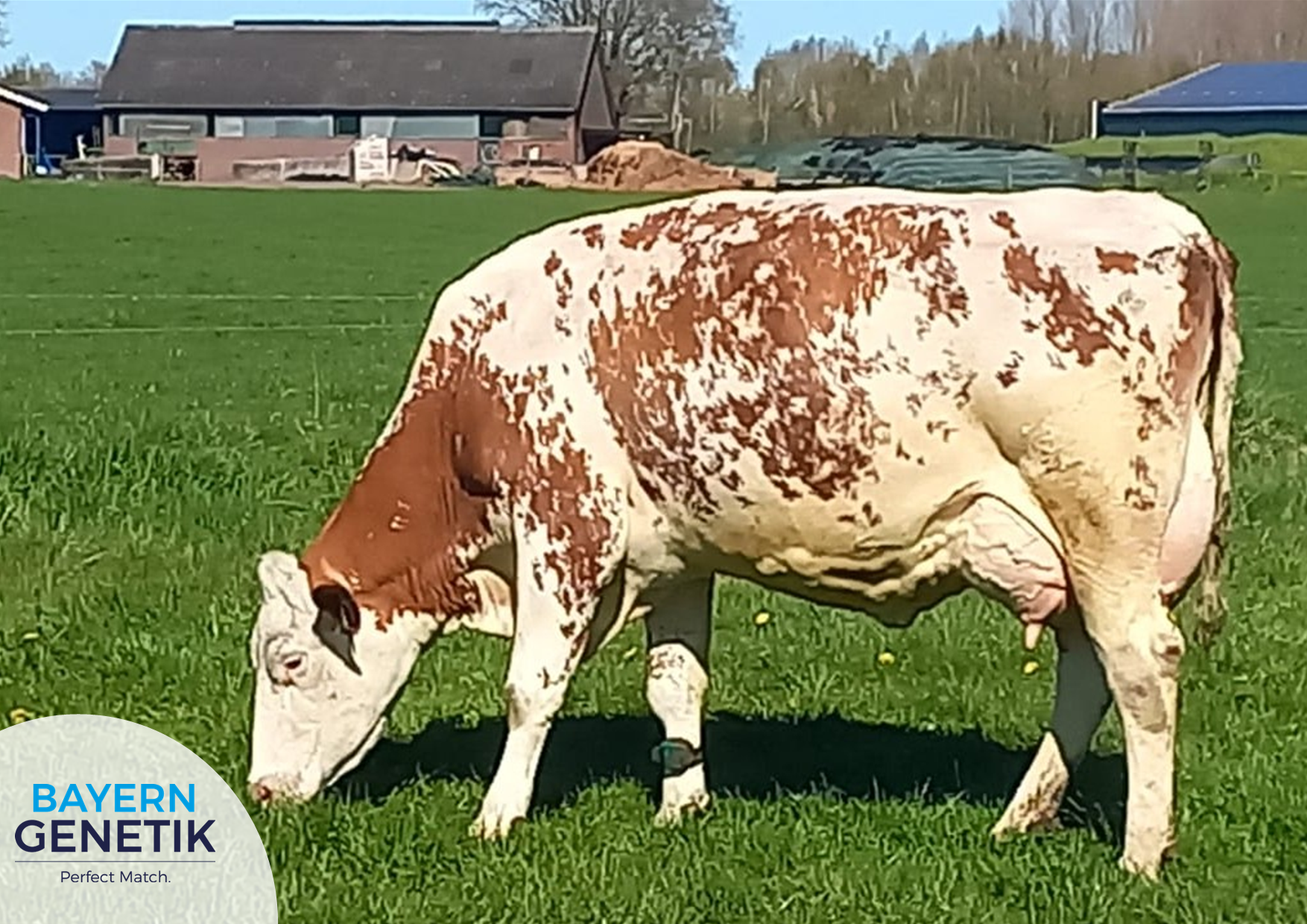 Clara 619 maakt de wereld mooier