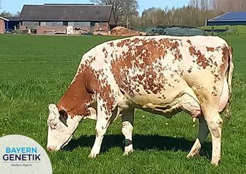 Clara 619 maakt de wereld mooier