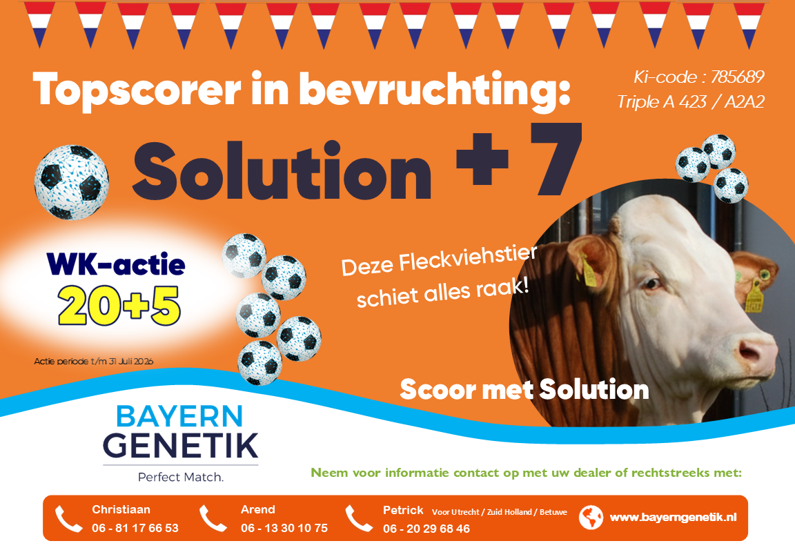 Warm weer of niet, Solution blijft scoren