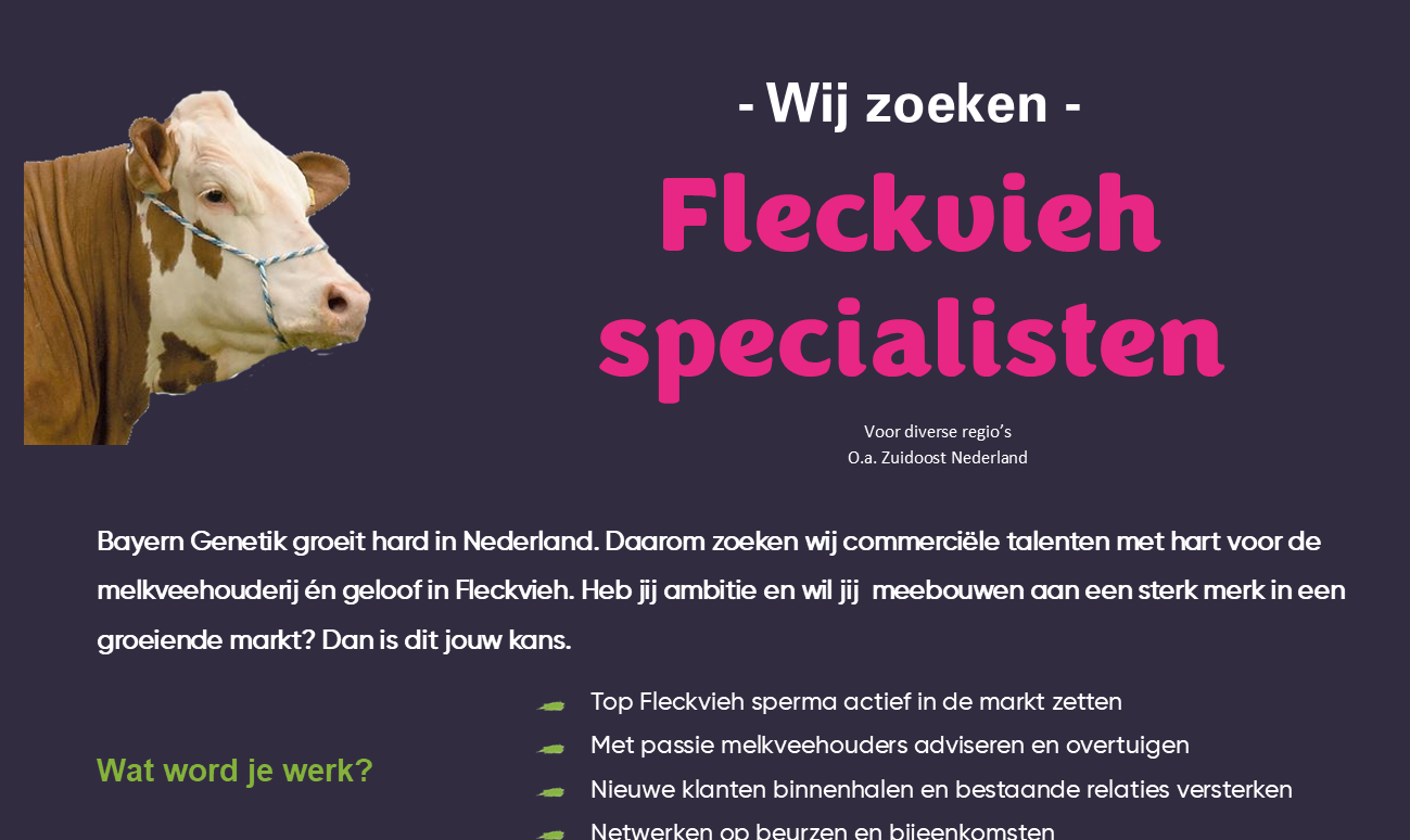 Word jij onze nieuwe collega?