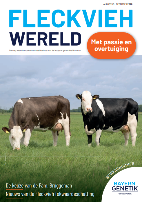 Hij komt er weer aan: de nieuwe Fleckvieh Wereld