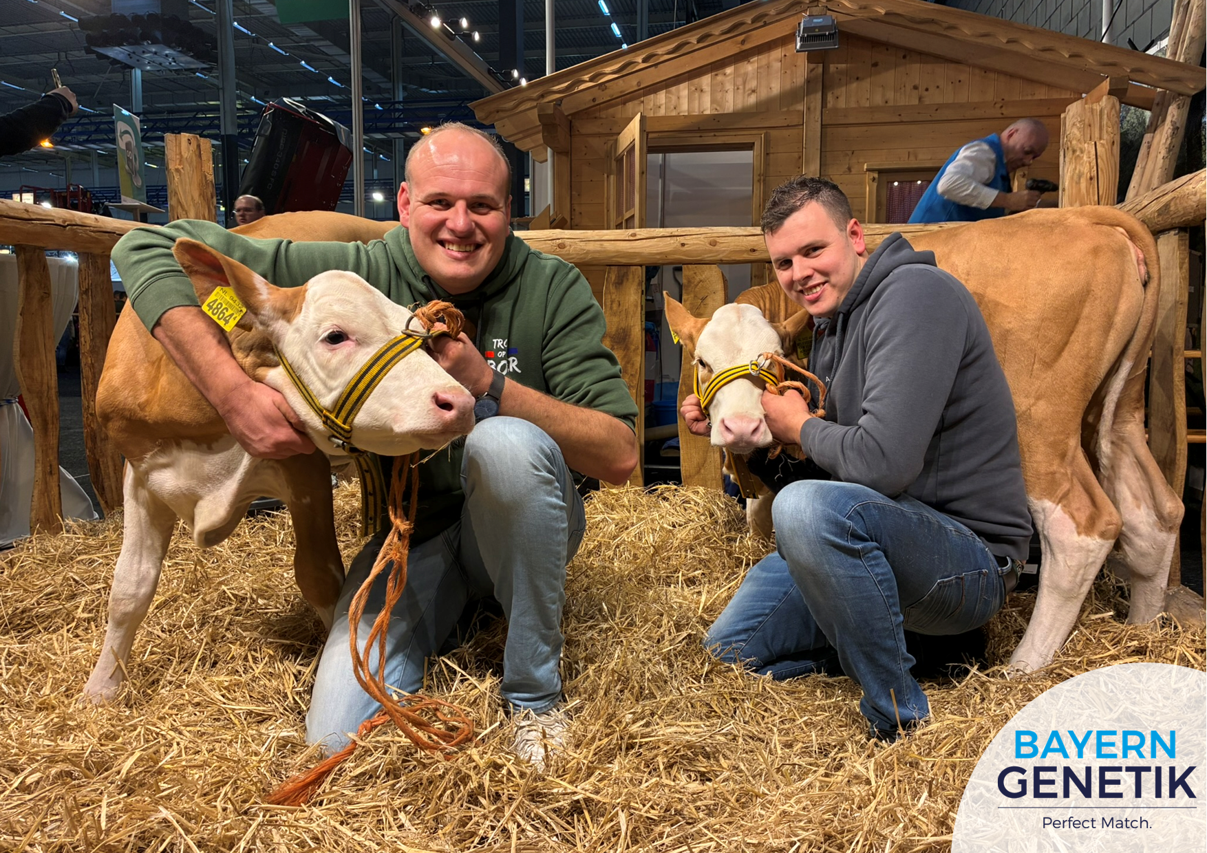 RMV Gorinchem - Fleckvieh kalveren trokken volop de aandacht!