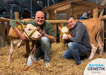 RMV Gorinchem - Fleckvieh kalveren trokken volop de aandacht!