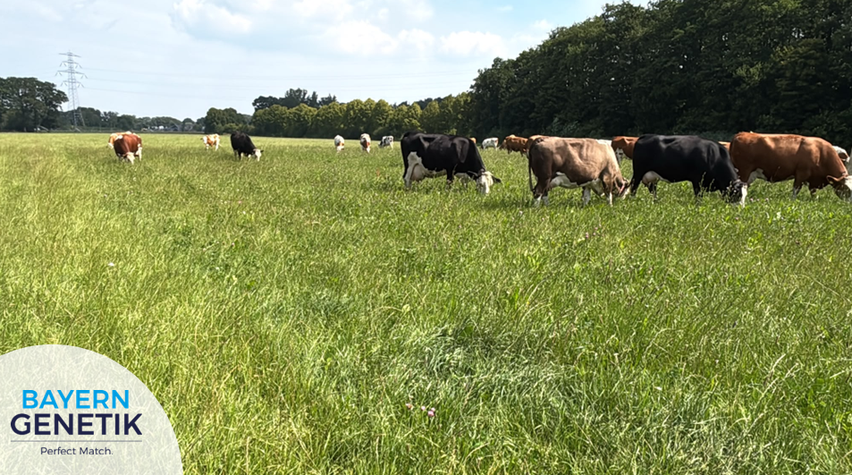 Kruidenrijk grasland en de veldproef