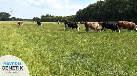 Kruidenrijk grasland en de veldproef