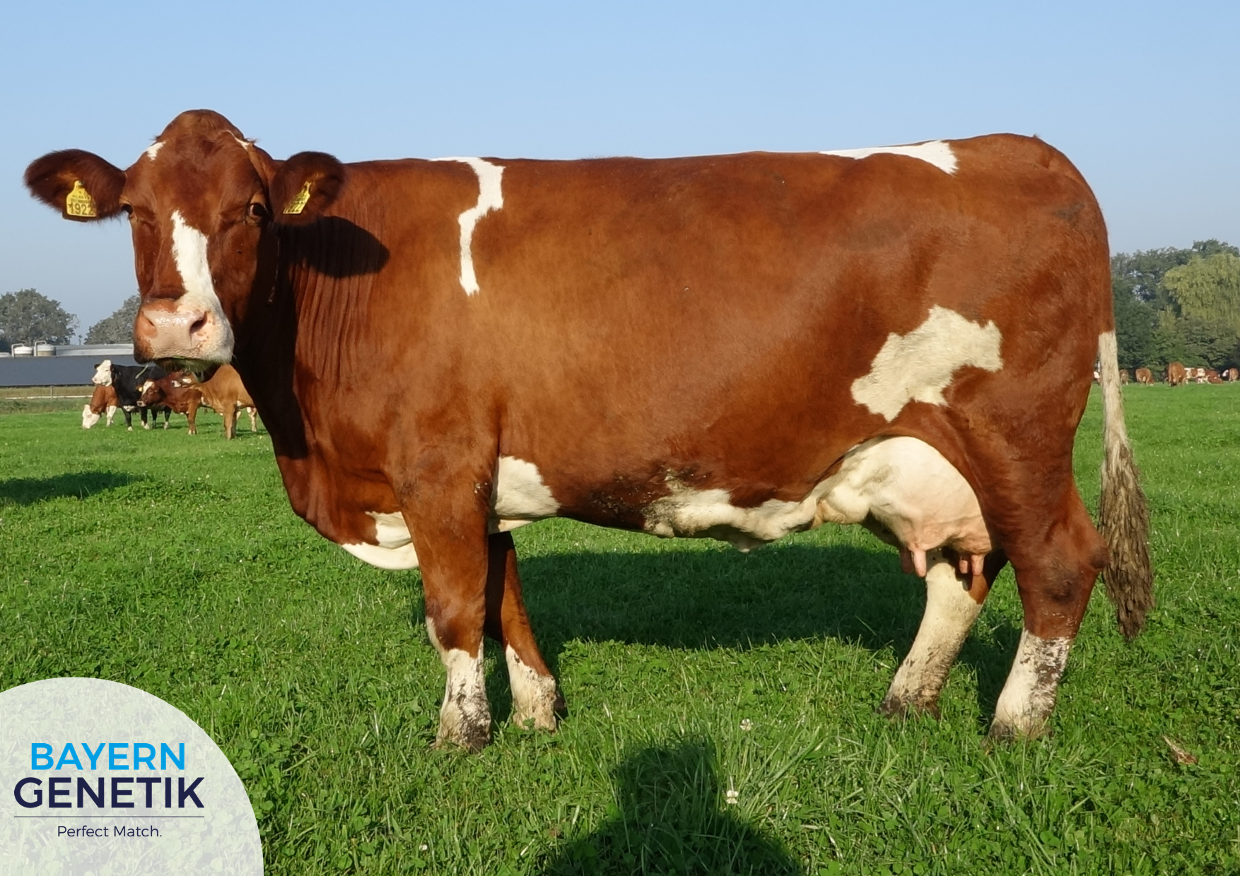 BFG Winral is de sterkste van allemaal