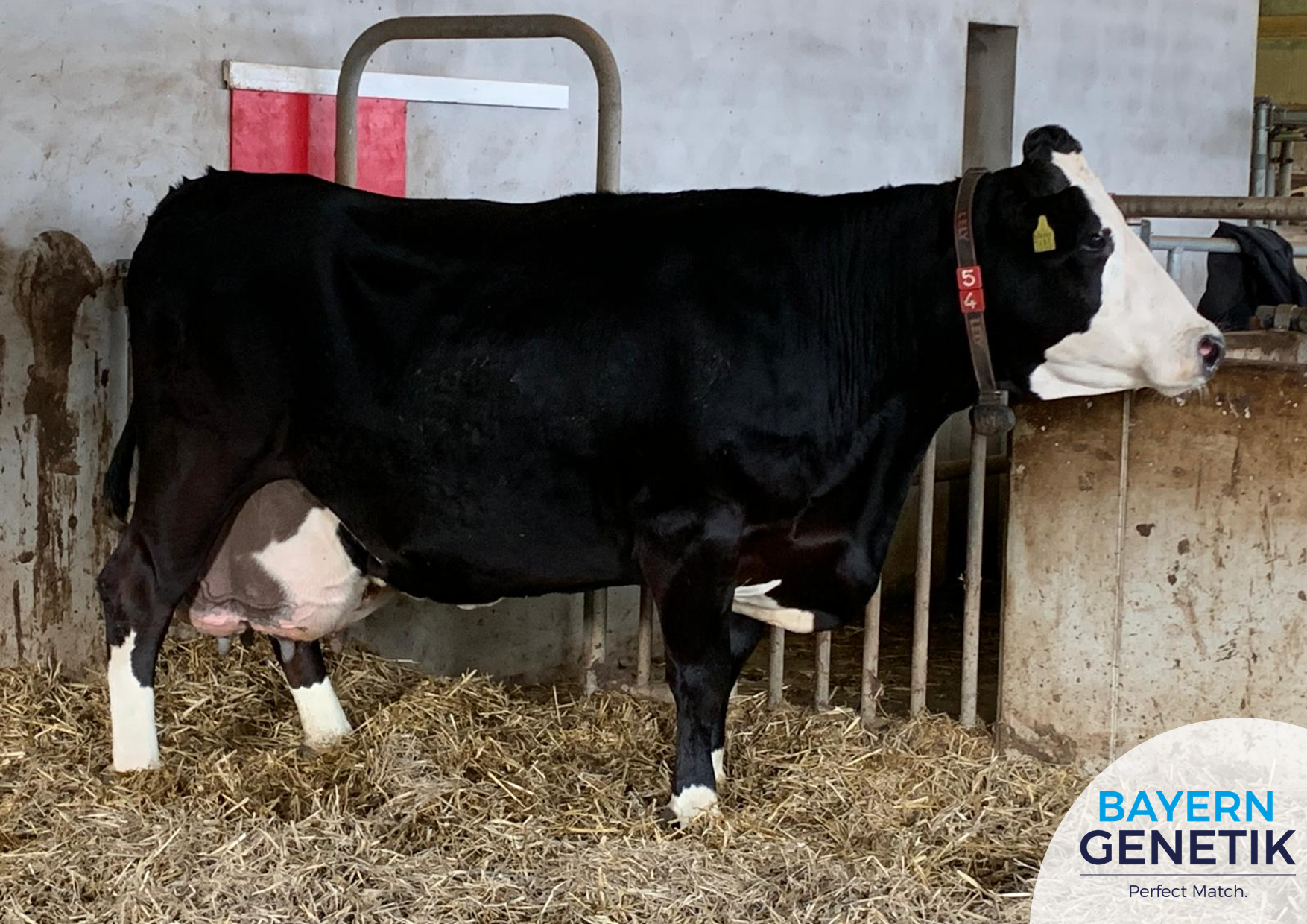 BFG Witzbold dochter 100.000 liter melk