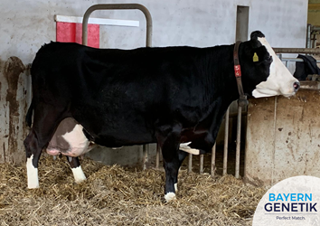 BFG Witzbold dochter 100.000 liter melk