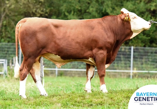 BFG Sauerlach BFG Sauerlach