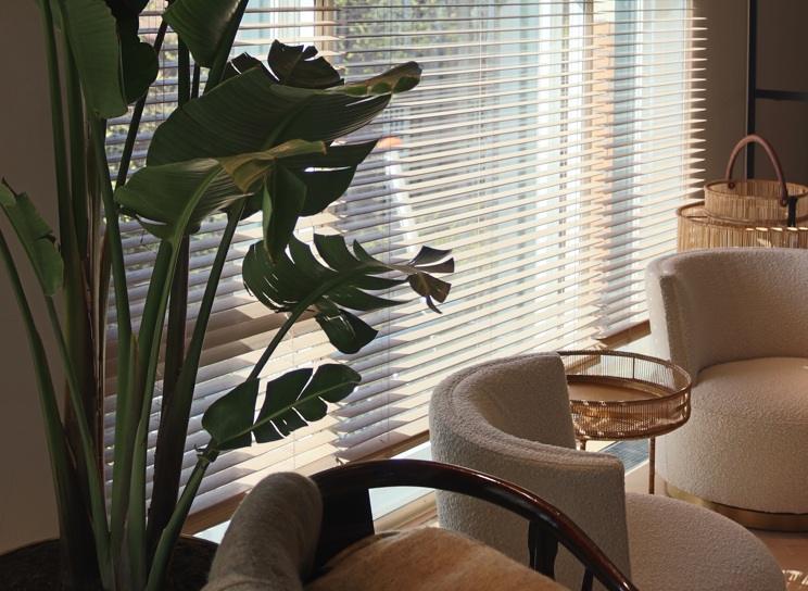 BREL HOME – Groei, innovatie en een sterke stap richting de toekomst