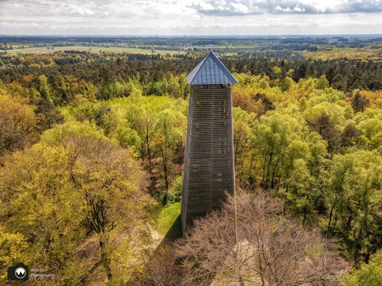 Bosgebied montferland