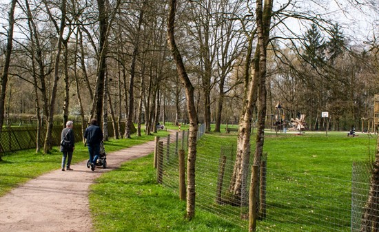 De koekendaal
