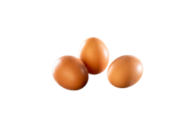 L, tray 30 eieren Blanken Food
