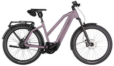 Riese & Müller Charger5 Mixte Vario - 800