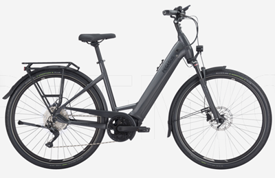 Pegasus Premio EVO 10 Lite