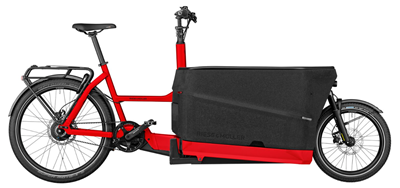 Riese & Müller Packster 70 Vario Demo