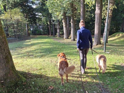 Van banenbeurs naar woonbegeleider