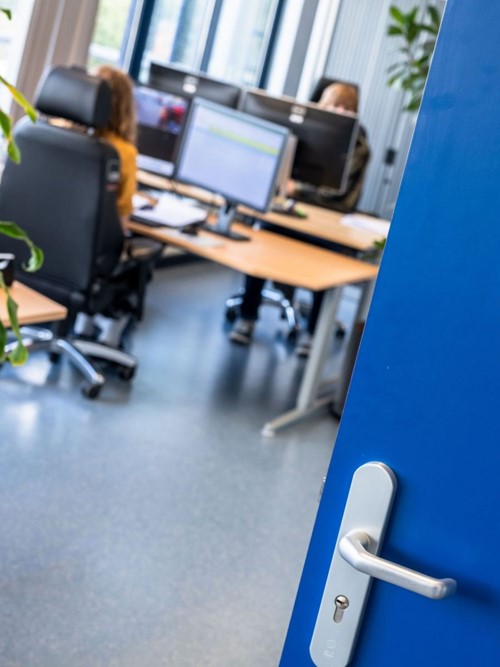 De Blauwe Baan: De waarde van diversiteit