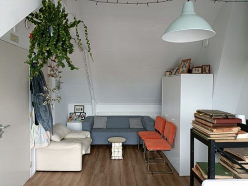 Timo: “Ik moest álle dagen nuttig maken..."