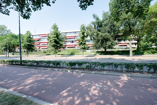 Afbeelding Den Bosch 1