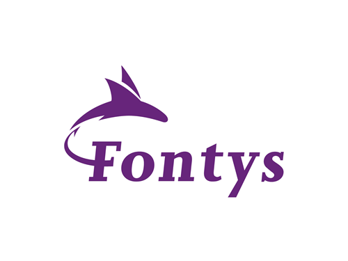Student+ bij Fontys: coaching en training