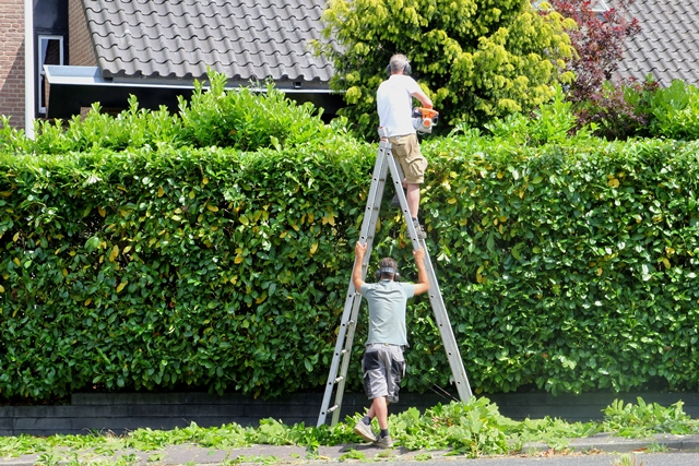 ARBOweetje: De Preventiemedewerker | IPC Groen