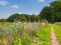 Aftrap leerlijn Biodiversiteit september 2023 afbeelding nieuwsbericht