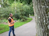 Nieuwe opleider voor Data Inspecteur Bomen afbeelding nieuwsbericht