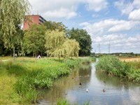 Pilot opleiding Biodiversiteit & klimaat  afbeelding nieuwsbericht