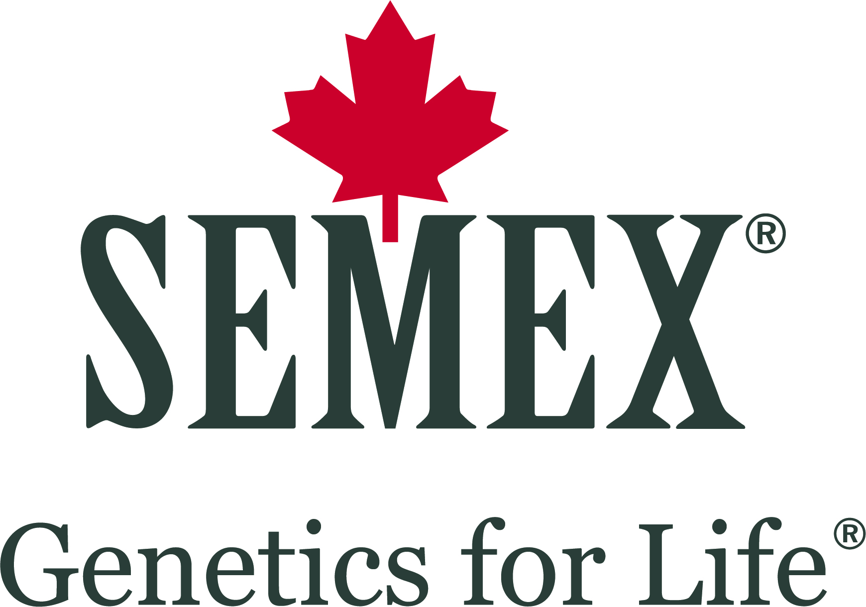 Semex