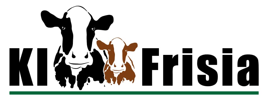 KI Frisia