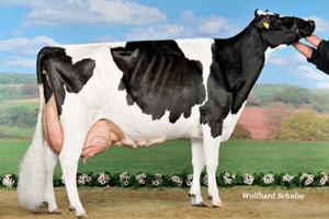 Batke Outside Kora EX-94