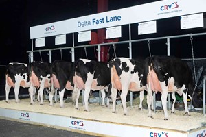 Dochtergroep Delta Fast lane