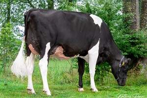 dochter